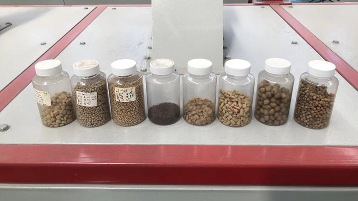 wet type Goldfish feed making machine in the Philippines